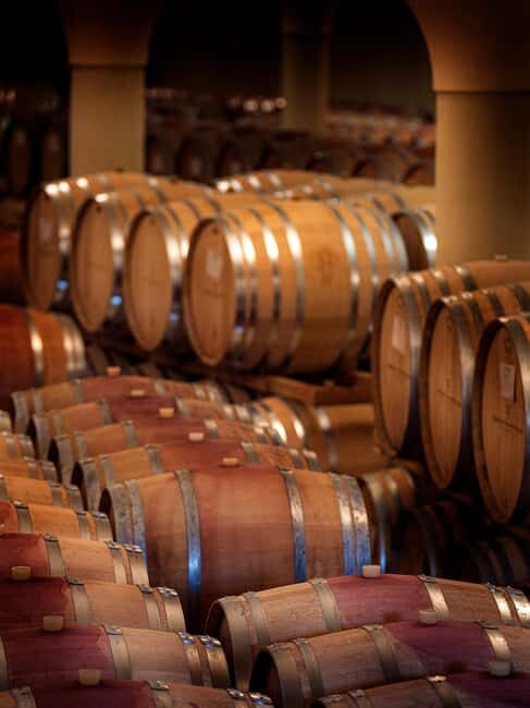 Greve in Chianti: Wine Tasting & Cellar Tour - A Closer Look at the Tour Experience