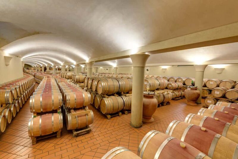 Greve in Chianti: Wine Tasting & Cellar Tour - The Value for Travelers