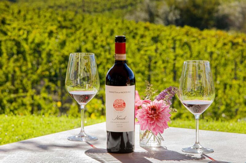 Greve in Chianti: Wine Tasting & Cellar Tour - Final Thoughts