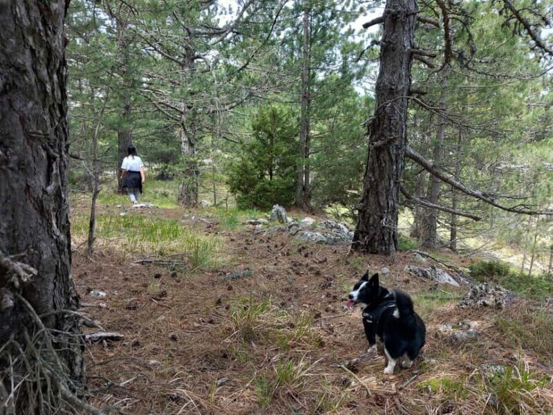 Grevena: Mount Orliakas and Portitsa Canyon Hike - Grevena: Mount Orliakas and Portitsa Canyon Hike – A Detailed Look