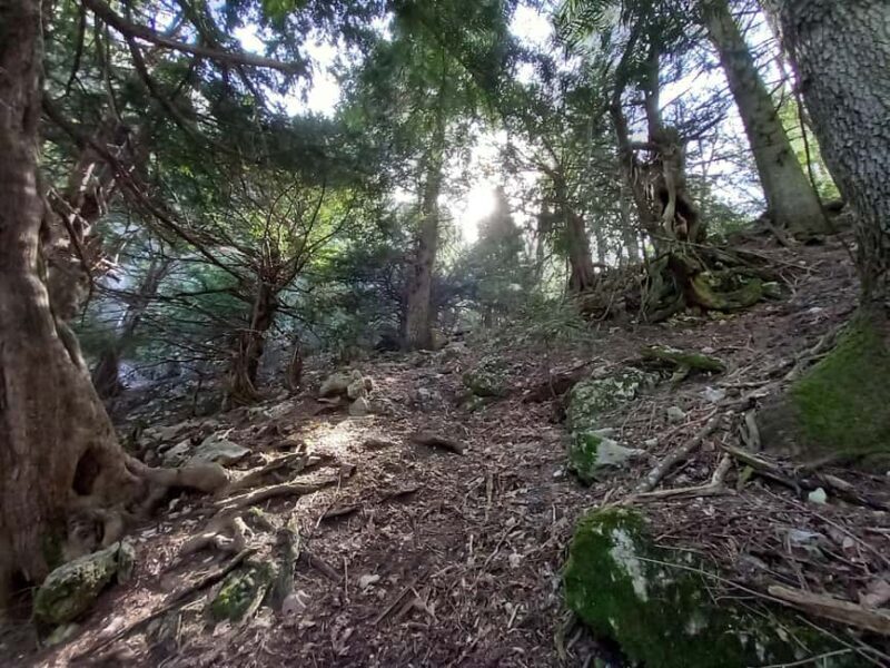 Grevena: Mount Orliakas and Portitsa Canyon Hike - An Honest Breakdown of the Grevena Hike