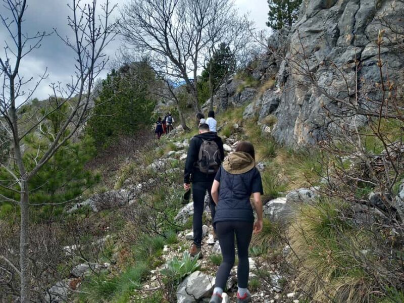 Grevena: Mount Orliakas and Portitsa Canyon Hike - What Travelers Say