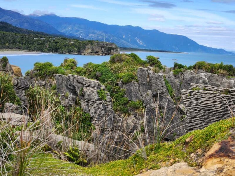 Greymouth: Full-Day Best Of The West Tour - Genuine Traveler Feedback