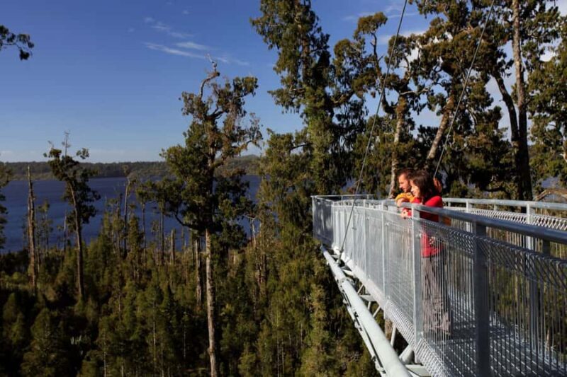 Greymouth: Hokitika Gorge and Tree Top Walkway Half-Day Tour - What to Expect from This Tour