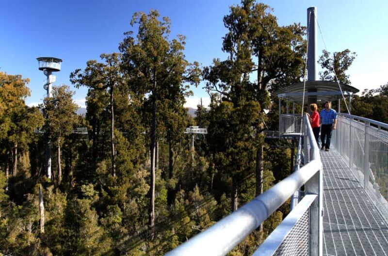 Greymouth: Hokitika Gorge and Tree Top Walkway Half-Day Tour - Who Is This Tour Best For?