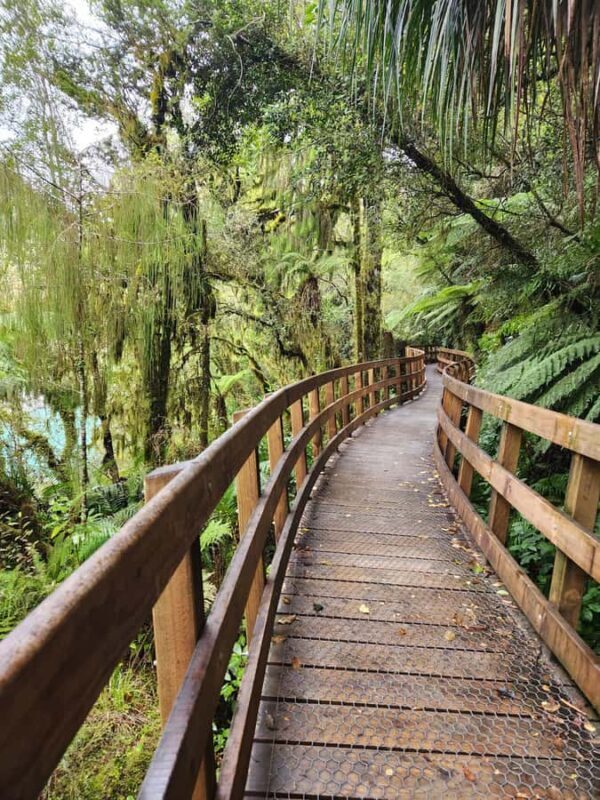 Greymouth: Hokitika Gorge and Tree Top Walkway Half-Day Tour - Final Thoughts