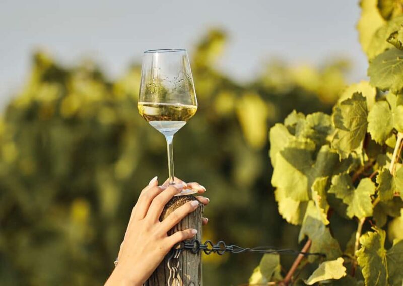 Grimaud: Horseback Riding & Wine Tasting in Maures Forest - Key Points