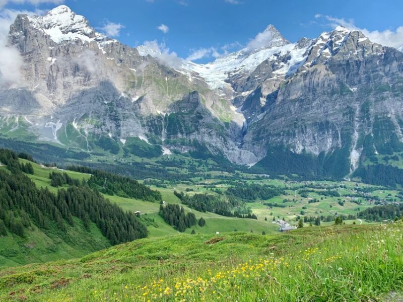 Grindelwald & First Cliff Walk Day Trip | From Zurich - Who Would Love This Tour?