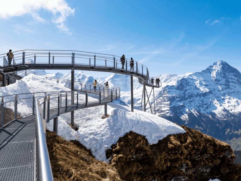 Grindelwald First Top of Adventure Private Trip - Key Points