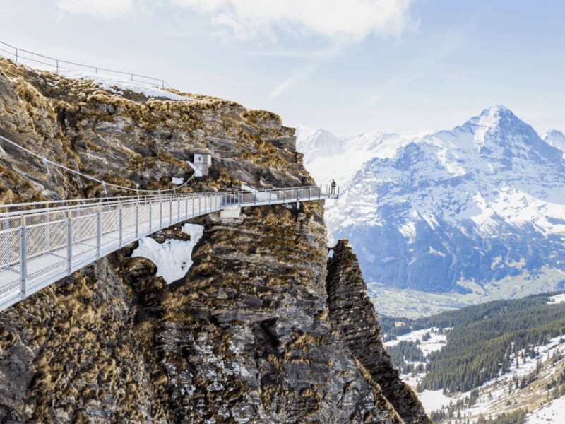 Grindelwald First Top of Adventure Private Trip - What to Expect from the Experience