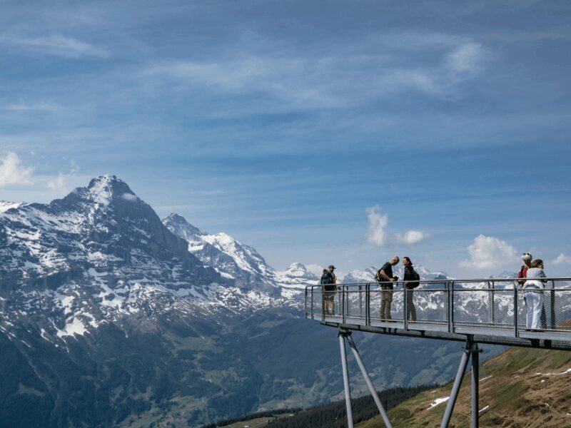 Grindelwald First Top of Adventure Private Trip - The Real Deal: Pros and Cons