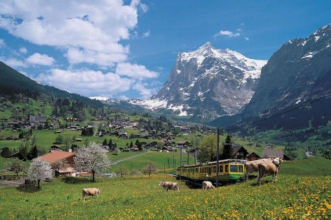 Grindelwald, Interlaken and Lauterbrunnen Day Trip from Lucerne - What the Day Looks Like — An In-Depth Breakdown