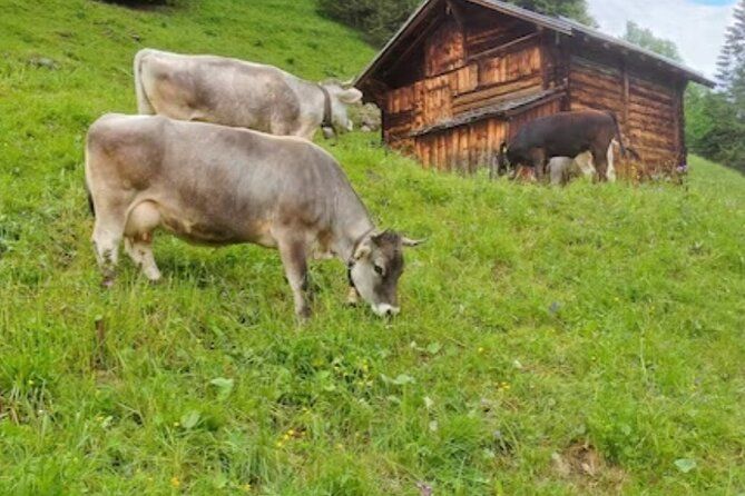 Grindelwald, Lauterbrunnen Lungern Interlaken Semi-Private - Lauterbrunnen: The Waterfall Valley, Tight but Mighty