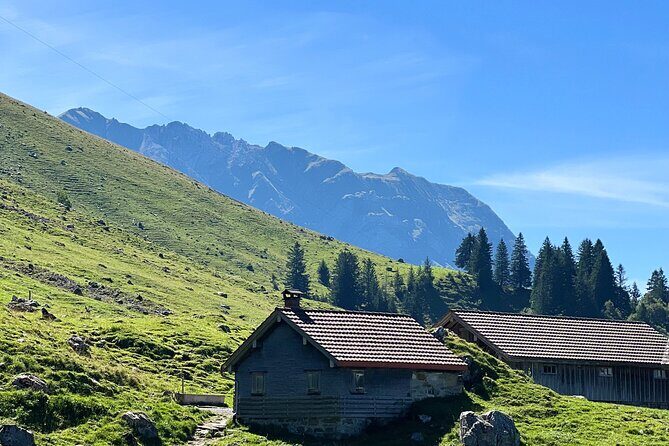 Grindelwald, Lauterbrunnen & Brienz from Zurich - A Fully-Fledged Swiss Experience