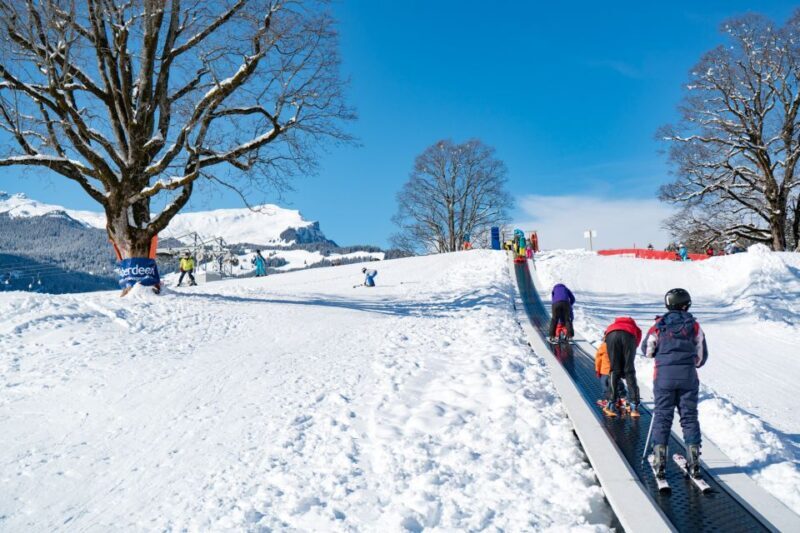 Grindelwald: Sledding and Tubing in Bodmi Arena - The Experience in Detail