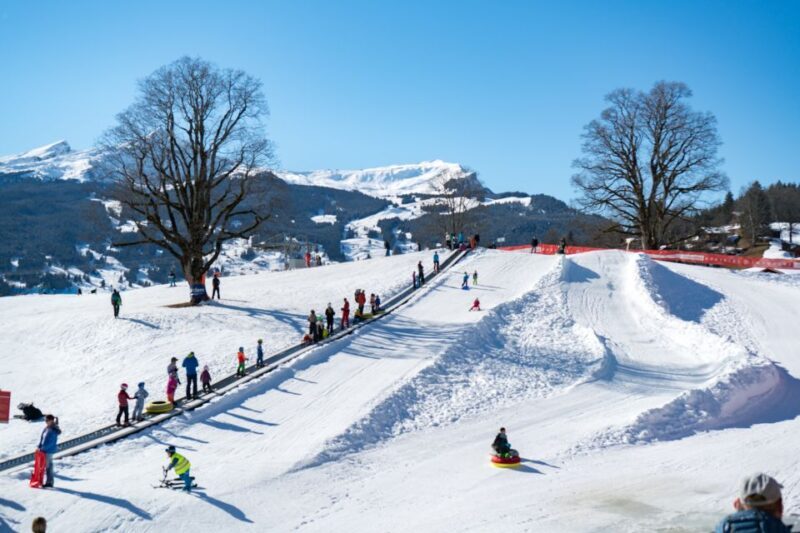 Grindelwald: Sledding and Tubing in Bodmi Arena - Practical Tips for Visiting