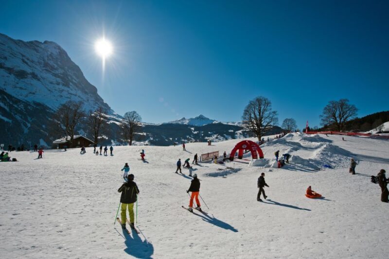 Grindelwald: Sledding and Tubing in Bodmi Arena - Who Is This Experience Best For?
