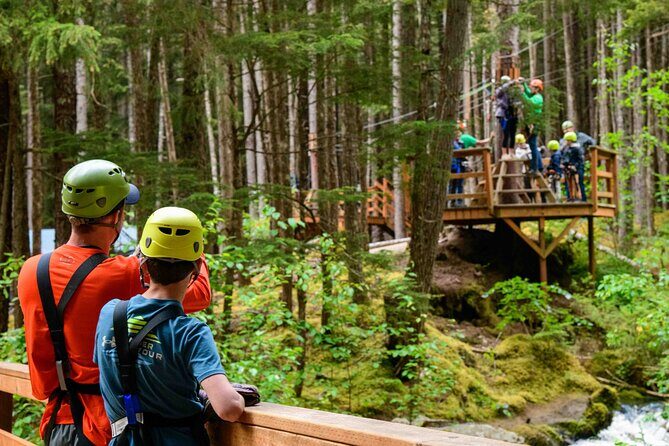Grizzly Falls Ziplining Expedition - A Closer Look at the Itinerary and Experience