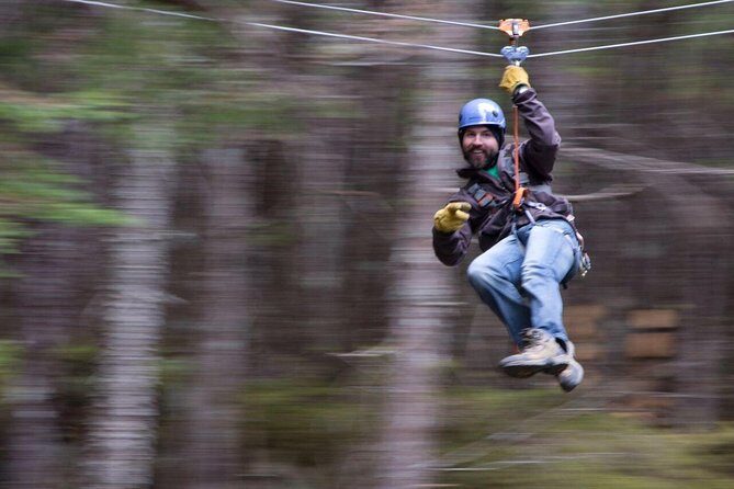 Grizzly Falls Ziplining Expedition - The Real Deal from Travelers