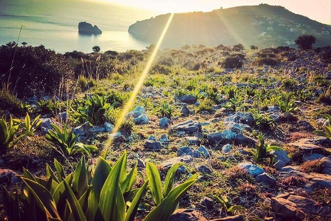 Grotte Di Capo Palinuro - Potential Downsides and Considerations