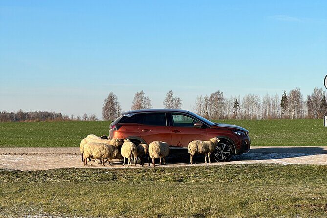 Group day trip from Riga to Hill of Crosses - 5 hour day tour! - FAQs