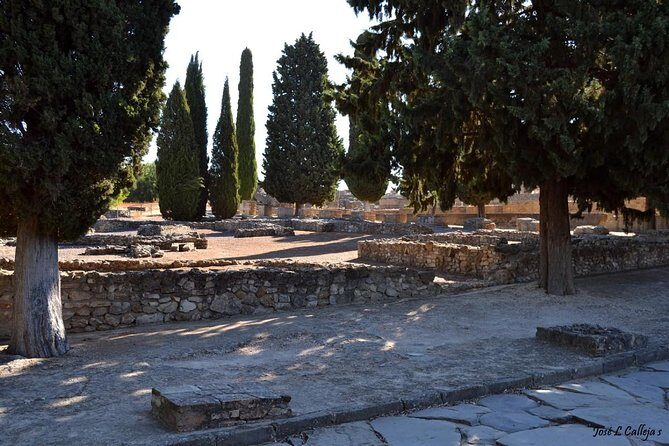 Group Excursion from Seville to Italica (Seville Roman Town) - Exploring the Itinerary in Detail