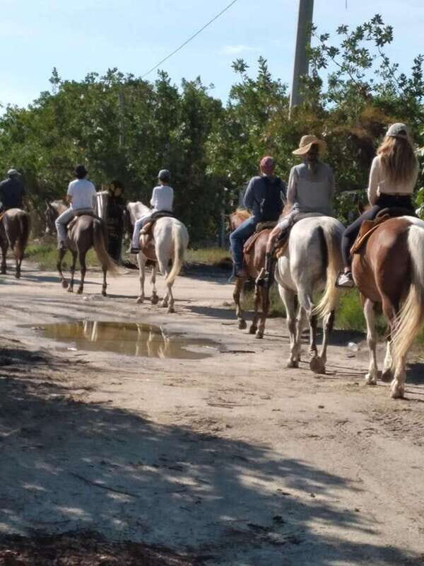 Group horseback ride on Holbox Island, Quintana Roo - An Honest Look at the Horseback Riding Experience in Holbox