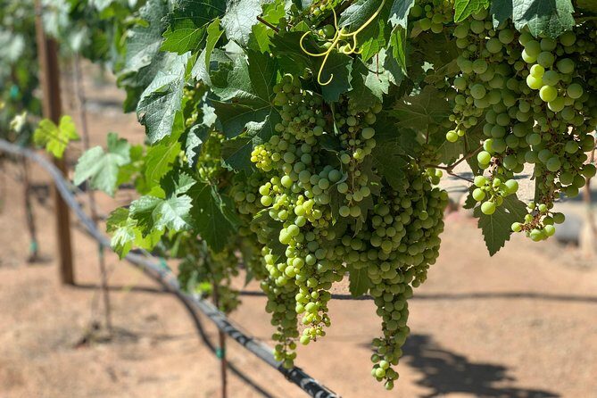 Group tour - Wrapping Up