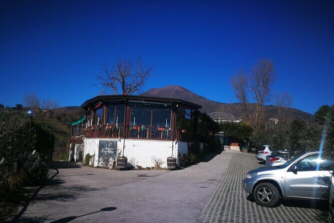 Group tour for wine & food tasting at the Cantina del Vesuvio. - Who Is This Tour Best For?