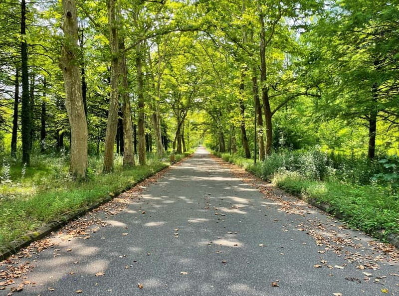 Group tour from Batumi to Kutaisi and Tskaltubo - Final Thoughts