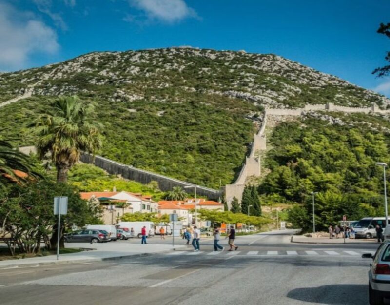 Group Tour From Dubrovnik: Ston and Peljesac Wineries Tour - An Overview of the Tour: History, Wine, and Scenic Views