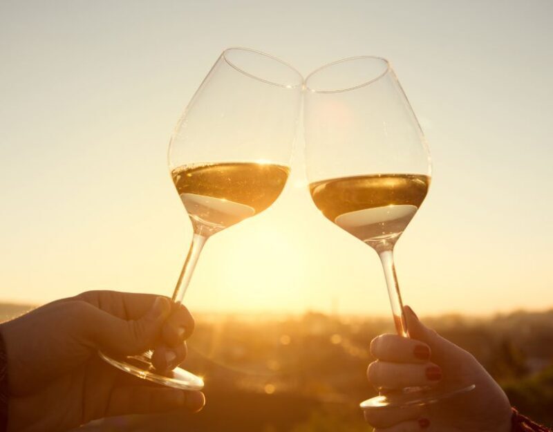 Group Tour From Dubrovnik: Ston and Peljesac Wineries Tour - What You Can Expect Throughout the Day