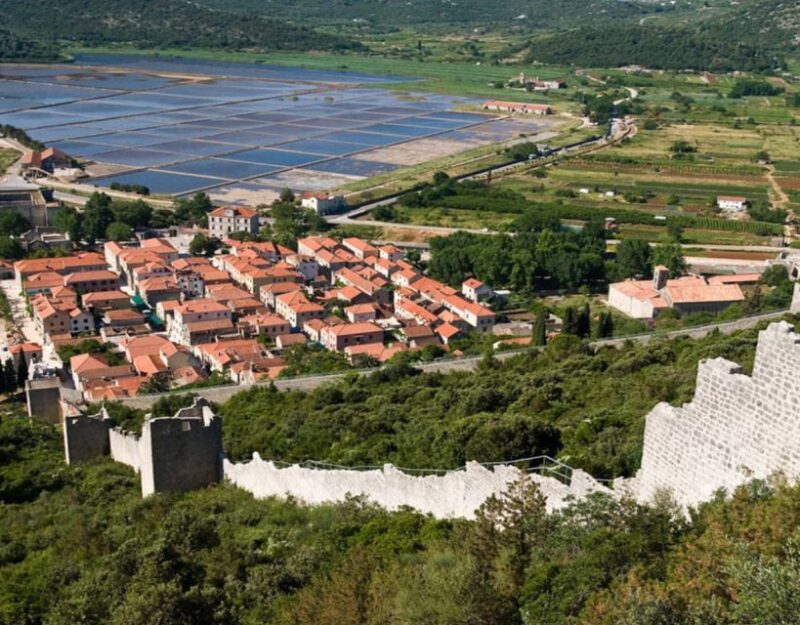 Group Tour From Dubrovnik: Ston and Peljesac Wineries Tour - Who Should Consider This Tour?