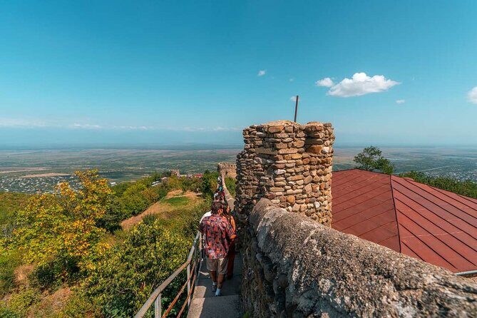 Group Tour from Tbilisi: Sighnaghi, Bodbe & 8 Wine Tastings - Who Should Consider This Tour?