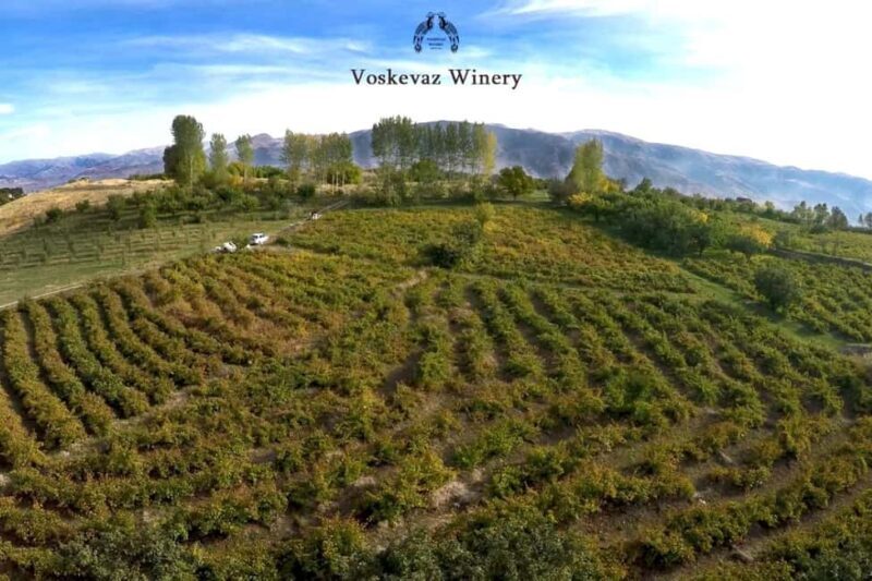 Group Tour: Hovhannavank, Voskevaz Winery & Tegher monastery - FAQ