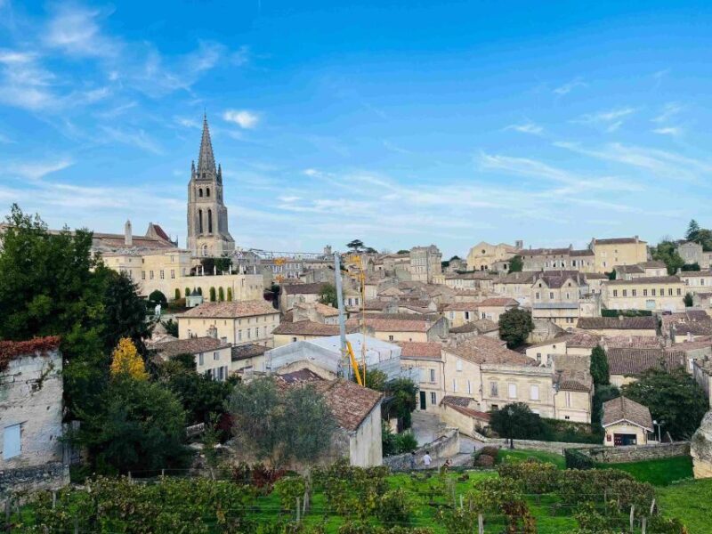 Group Tour: Saint Emilion Walking Tour+Wine tasting in cave - What Real Travelers Say