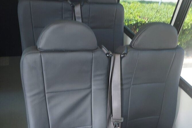 Group Transportation Houston to Galveston Cruise & Hotels 16 PAX. - Who Should Consider This Service?