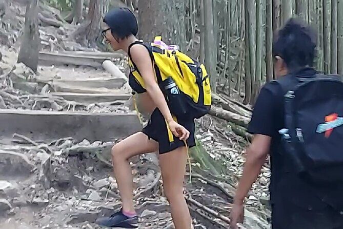 Grouse Hike and Capilano Bridge - Practical Considerations