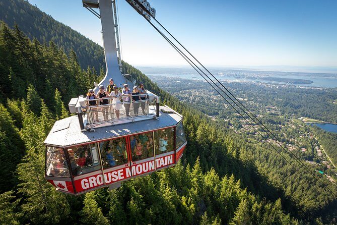 Grouse Mountain Admission Ticket - An In-Depth Look at the Grouse Mountain Experience
