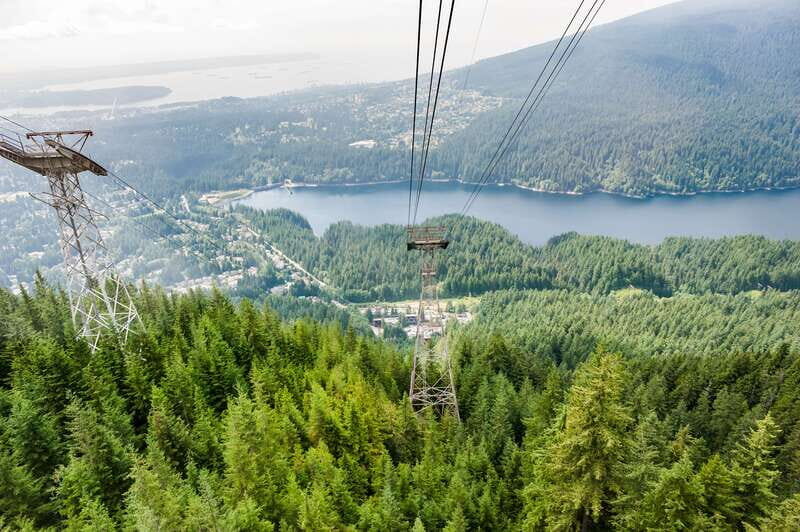 Grouse Mountain, Capilano Bridge & Fish Hatchery Tour - The Itinerary: What You Can Expect