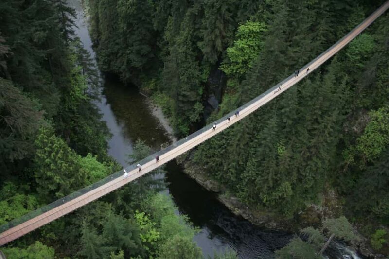 Grouse Mountain, Capilano Bridge & Fish Hatchery Tour - The Value Proposition: Is It Worth It?