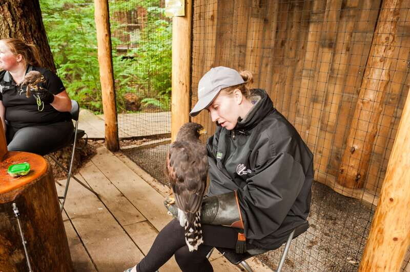 Grouse Mountain, Capilano Bridge & Fish Hatchery Tour - Who Should Consider This Tour?