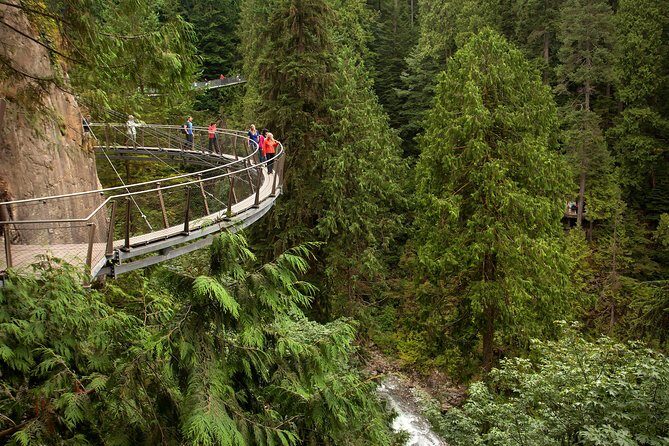 Grouse Mountain & Capilano Bridge Tour with Fish Hatchery - The Sum Up