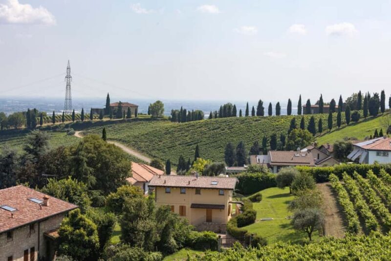 Grumello: Wine Tasting Tour at Historic Family Winery - Key Points