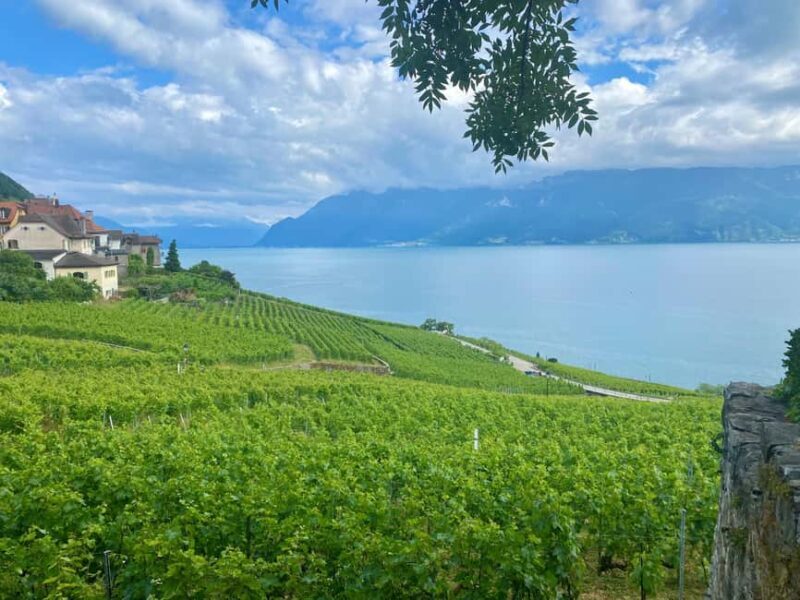 Gruyères & Lavaux Vineyard with Cheese & Wine | From Bern - A Closer Look at the Itinerary and Highlights