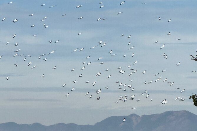 Guachimontones and Teuchitlan explores as a local - Final Thoughts