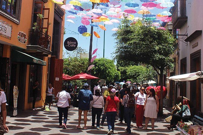 Guadalajara and Tlaquepaque City Sightseeing Tour - Who Should Consider This Tour?