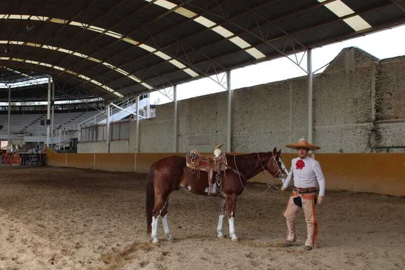 Guadalajara: Authentic Charro Horseriding Experience - What Real Travelers Say