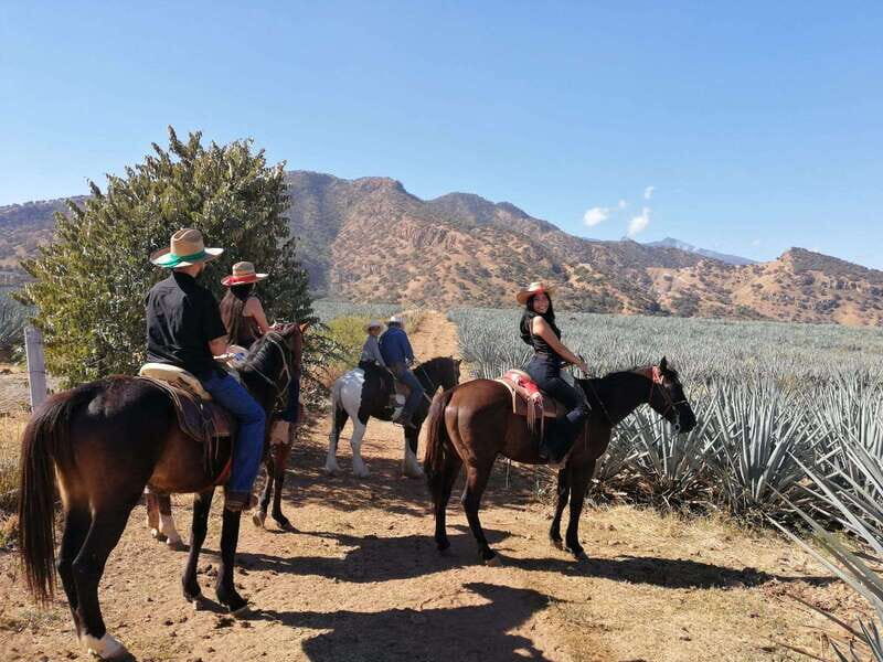 Guadalajara: Horse Riding on the Tequila Route with Tastings - Visiting a Family-Owned Distillery