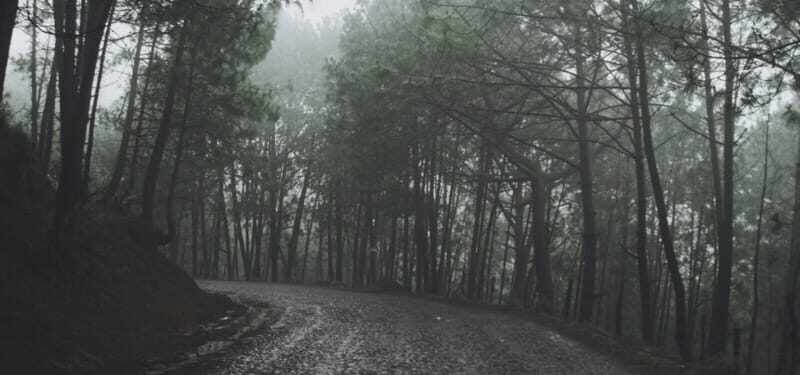 Guadalajara - Mazamitla: Motorcycle Tour - Who’s This Tour Best For?